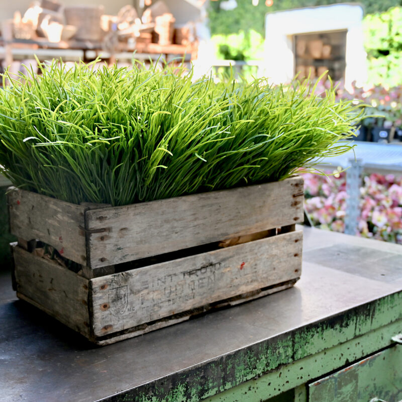 Detroit Garden Works