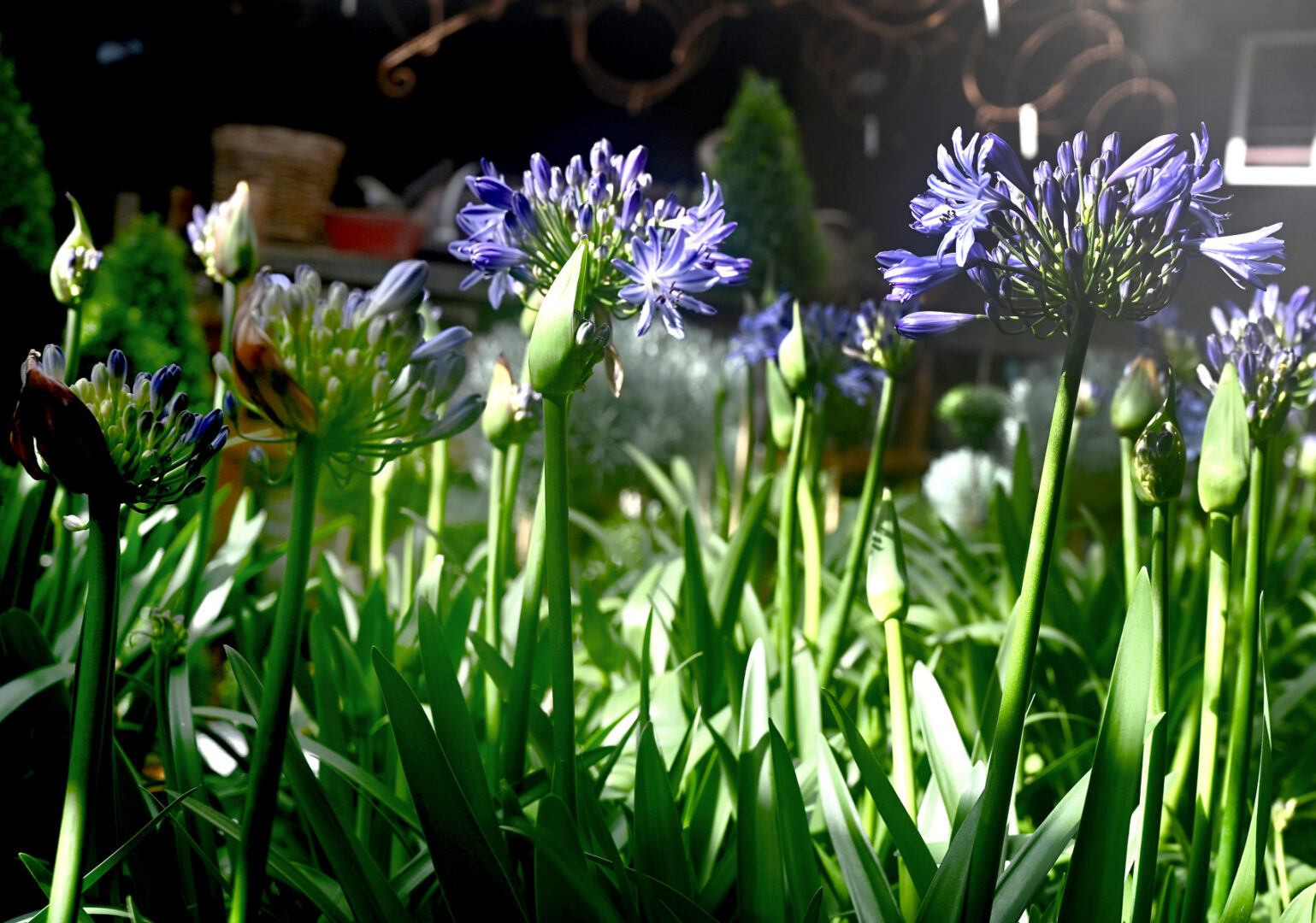Detroit Garden Works