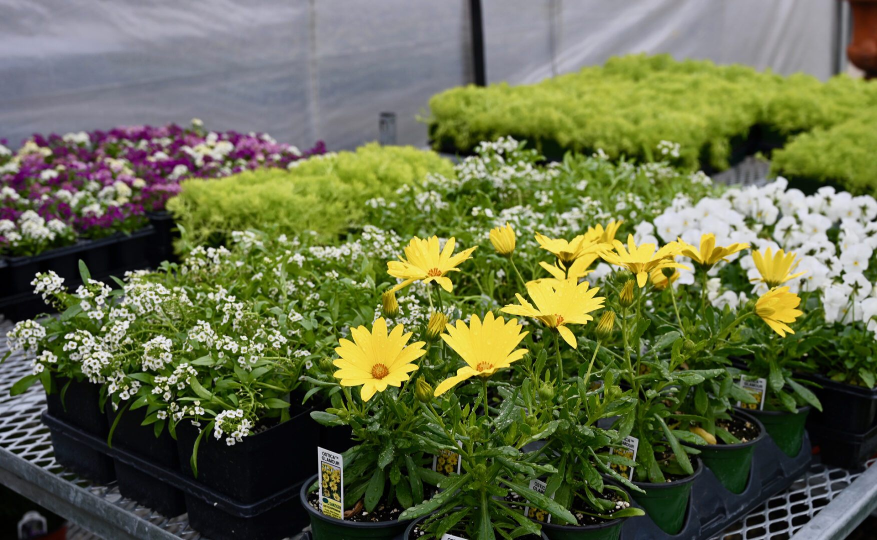 Detroit Garden Works