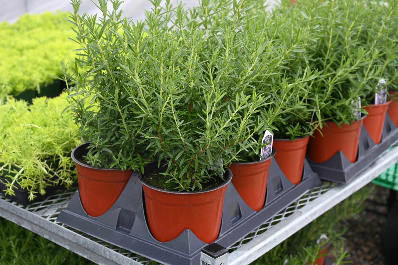 Detroit Garden Works