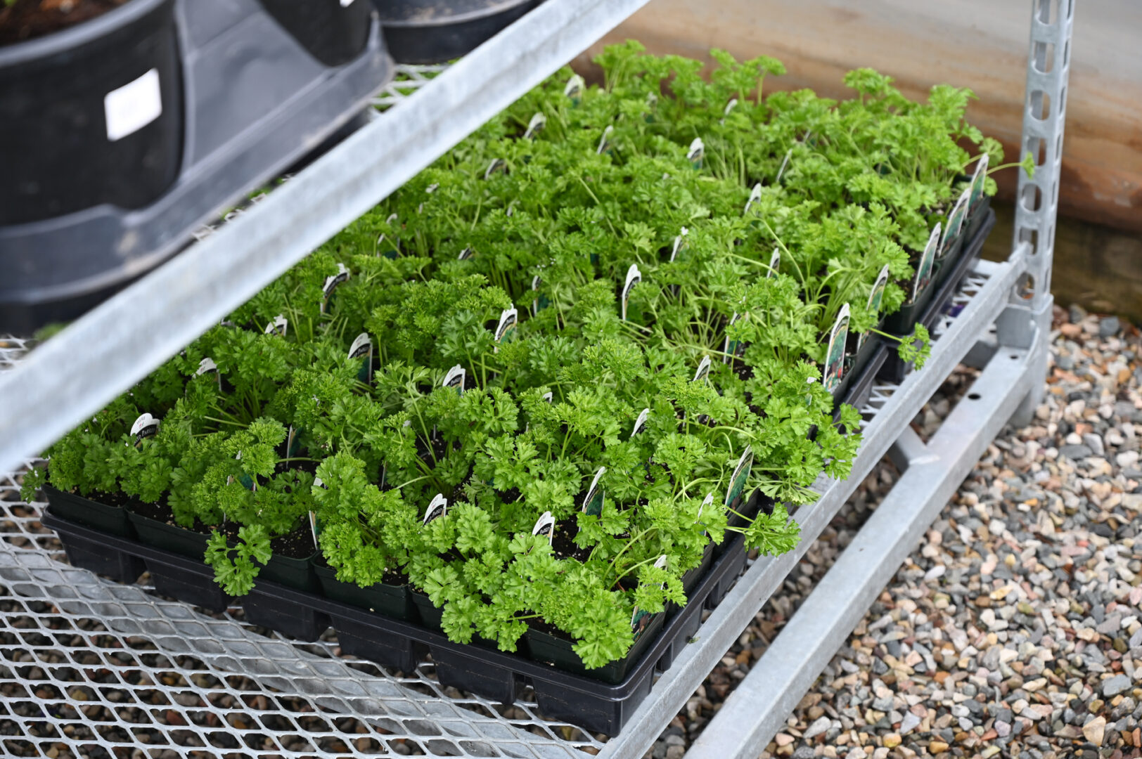 Detroit Garden Works