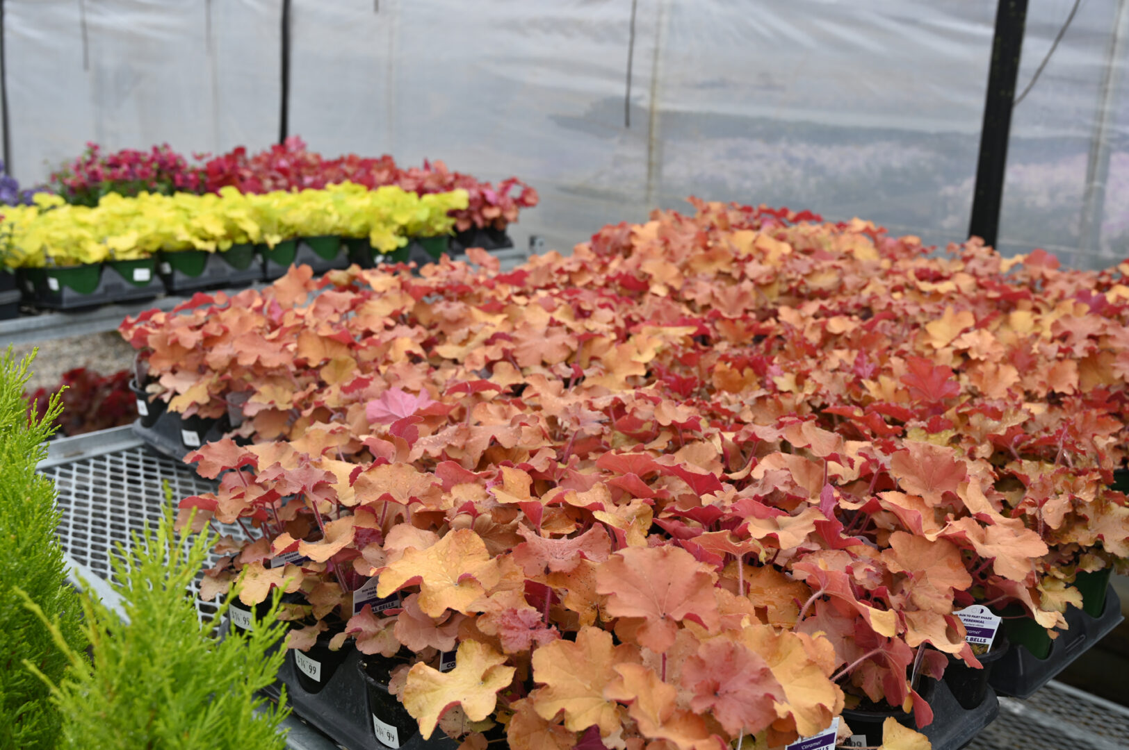 Detroit Garden Works