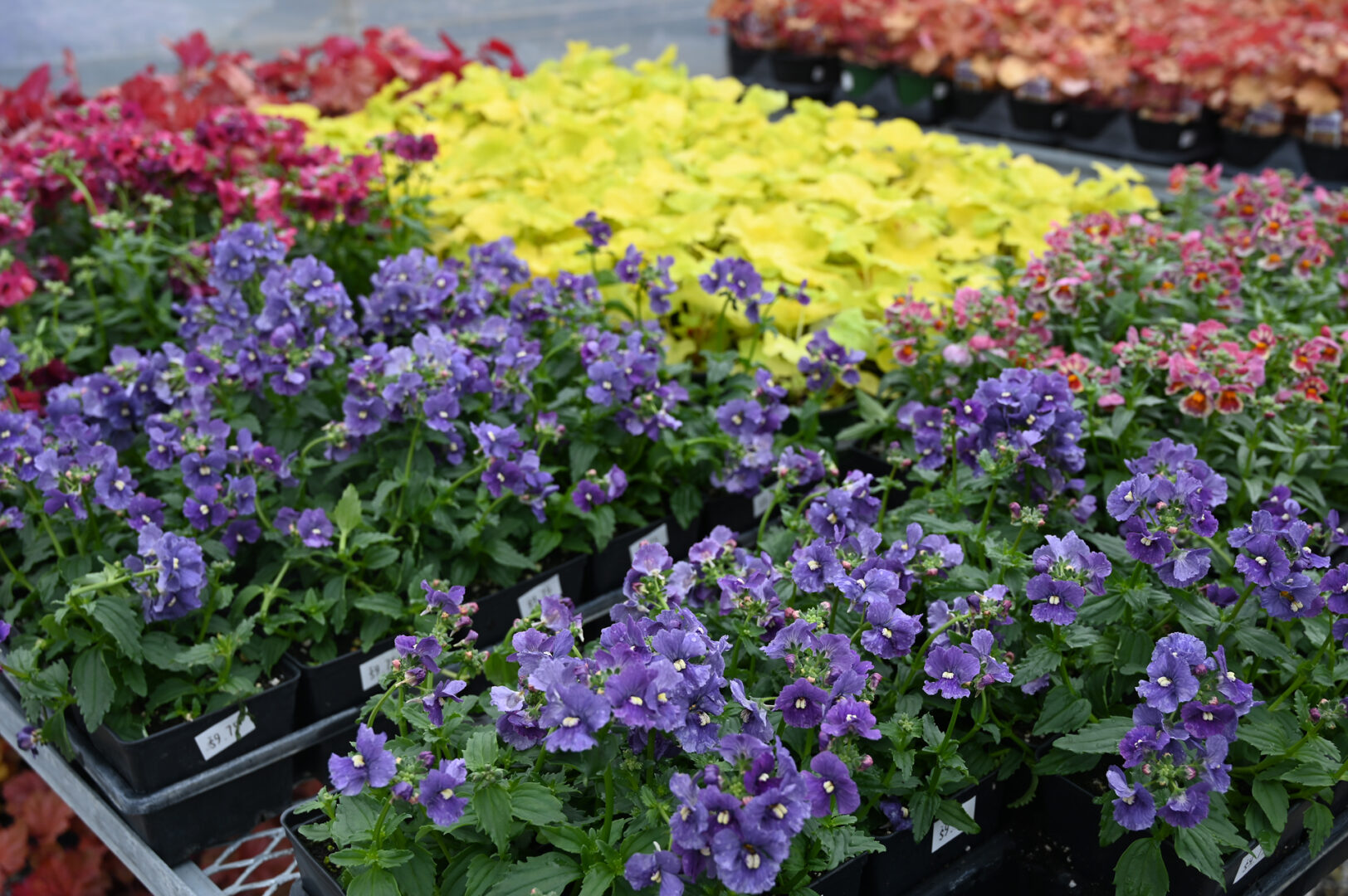 Detroit Garden Works