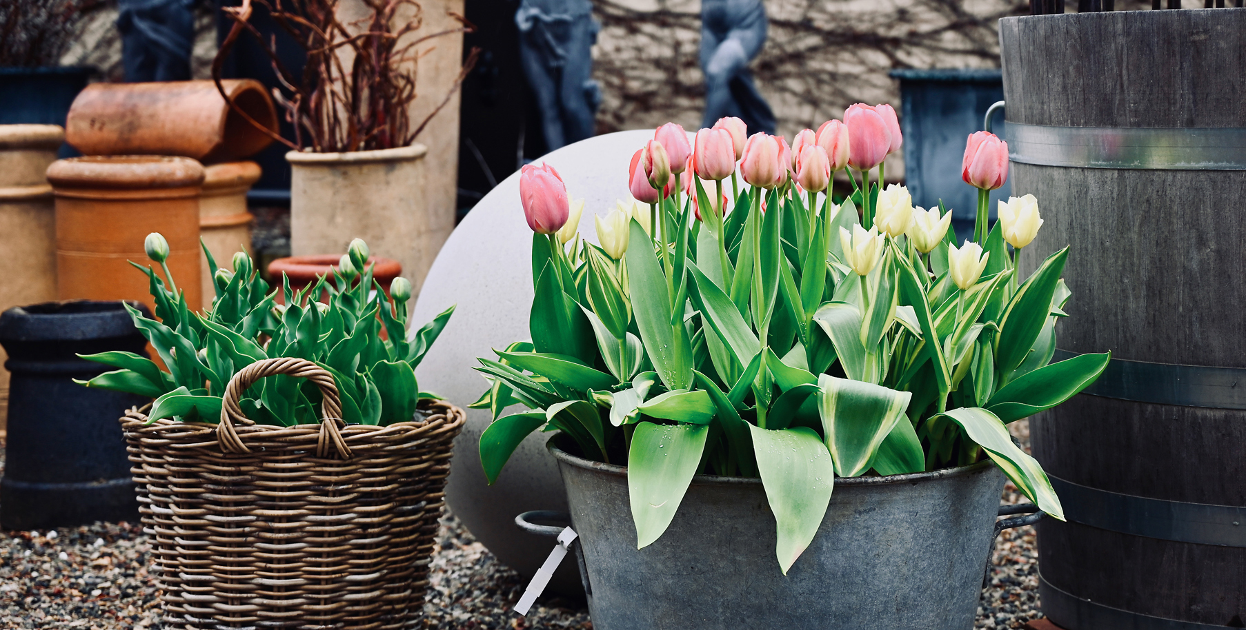 Get in Touch - Detroit Garden Works