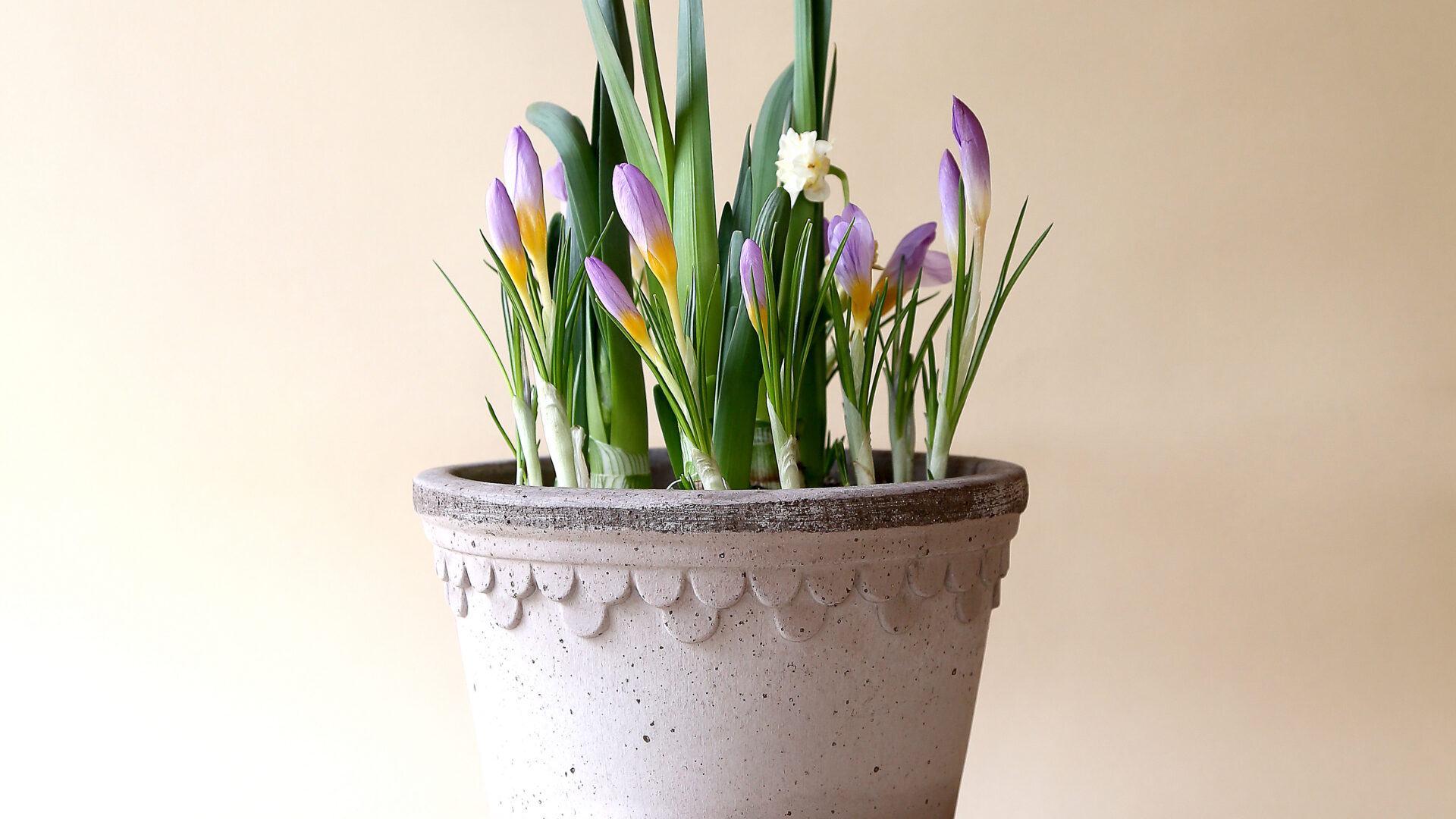 Detroit Garden Works