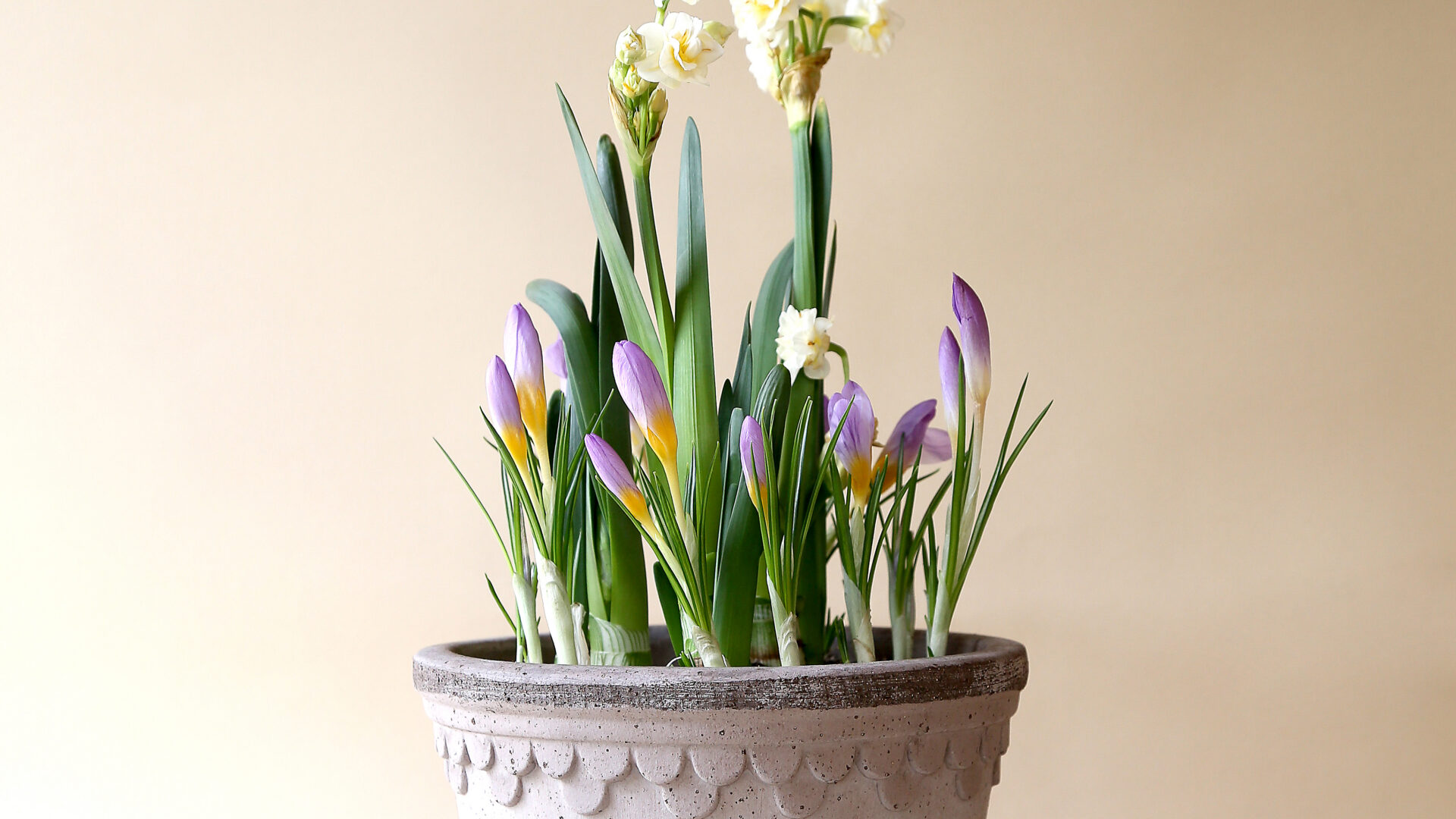 Get in Touch - Detroit Garden Works