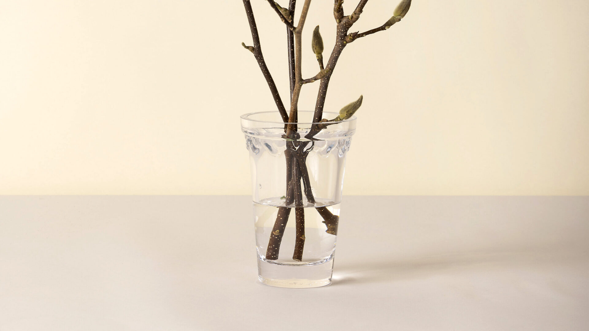 Shop: Copenhagen Vase | Detroit Garden Works