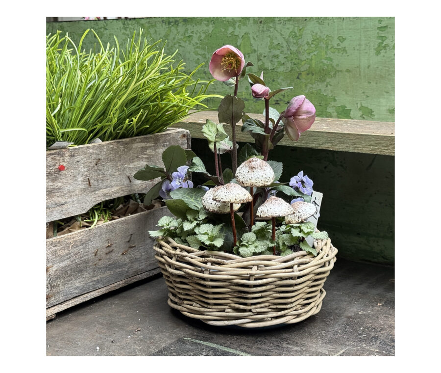 Shop: Containers | Detroit Garden Works