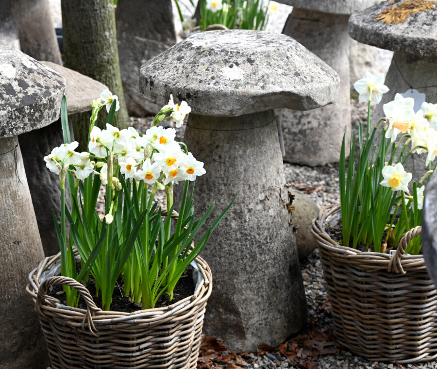 Shop: Ornament | Detroit Garden Works