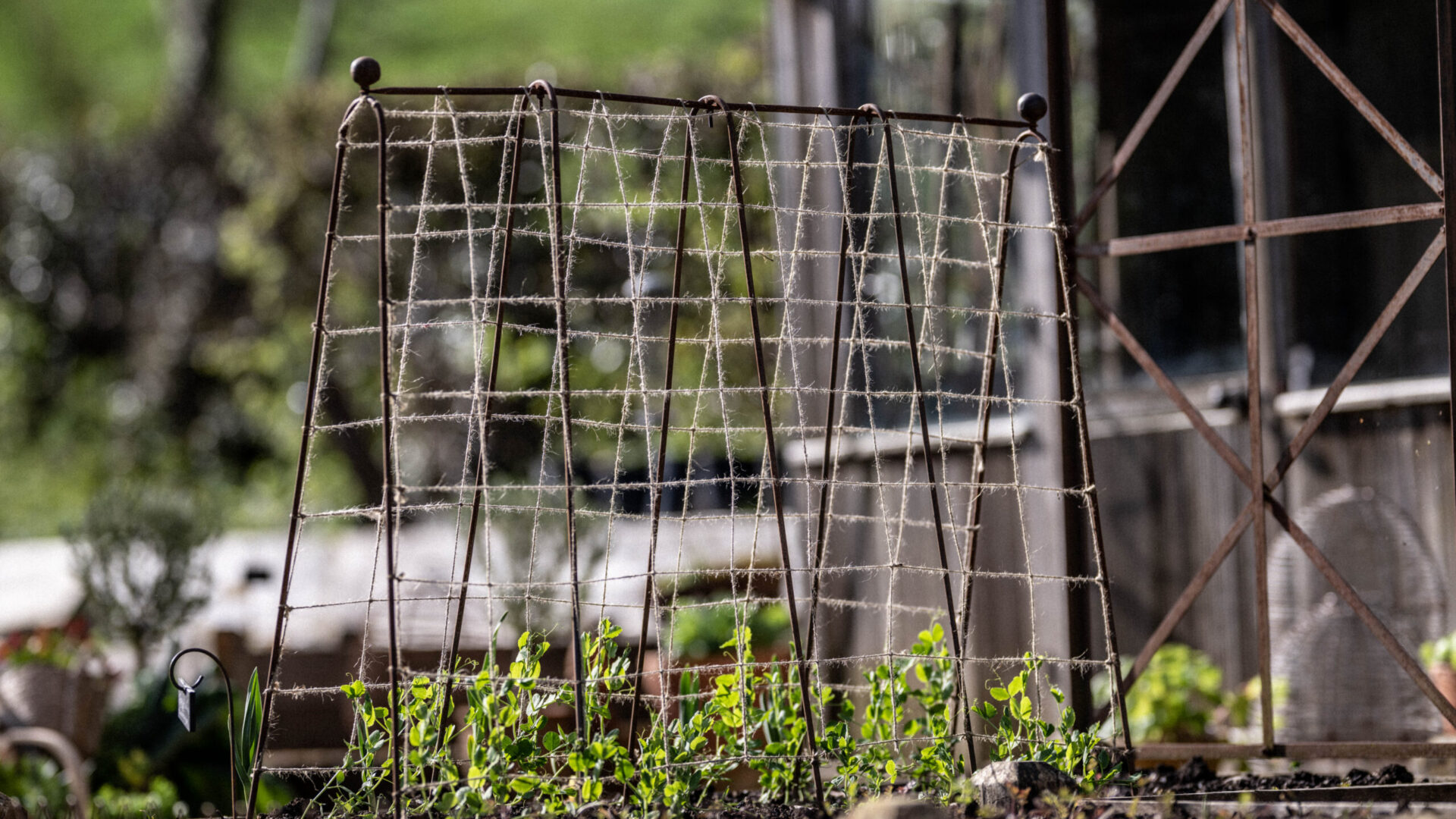Shop: The Beauty of Form & Function | Detroit Garden Works