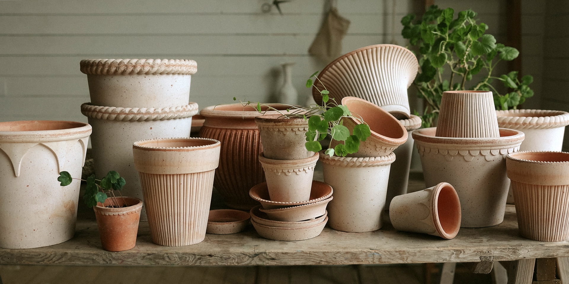 Bergs Potter Raw Rosa Terra Cotta - Detroit Garden Works
