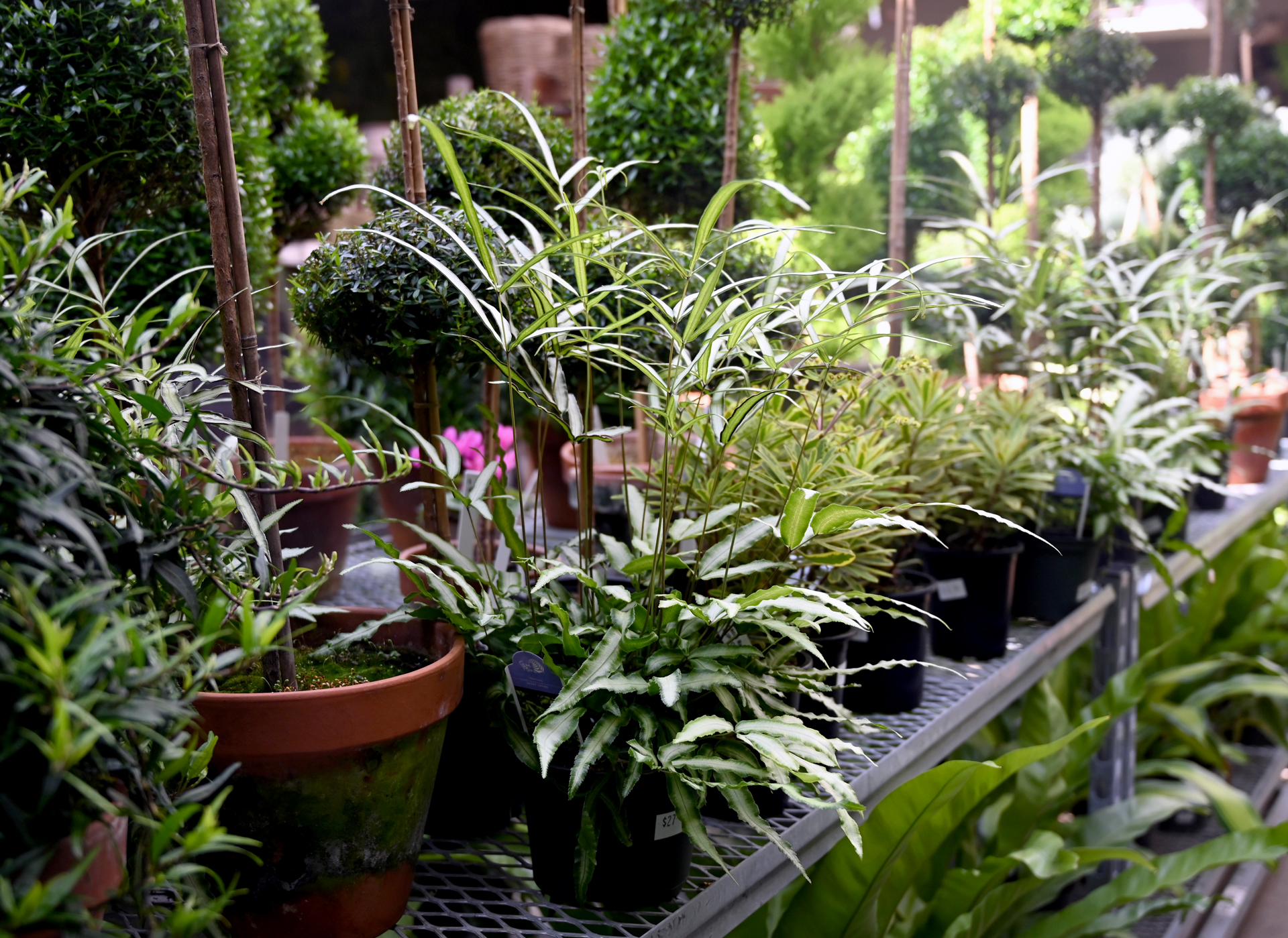 Detroit Garden Works
