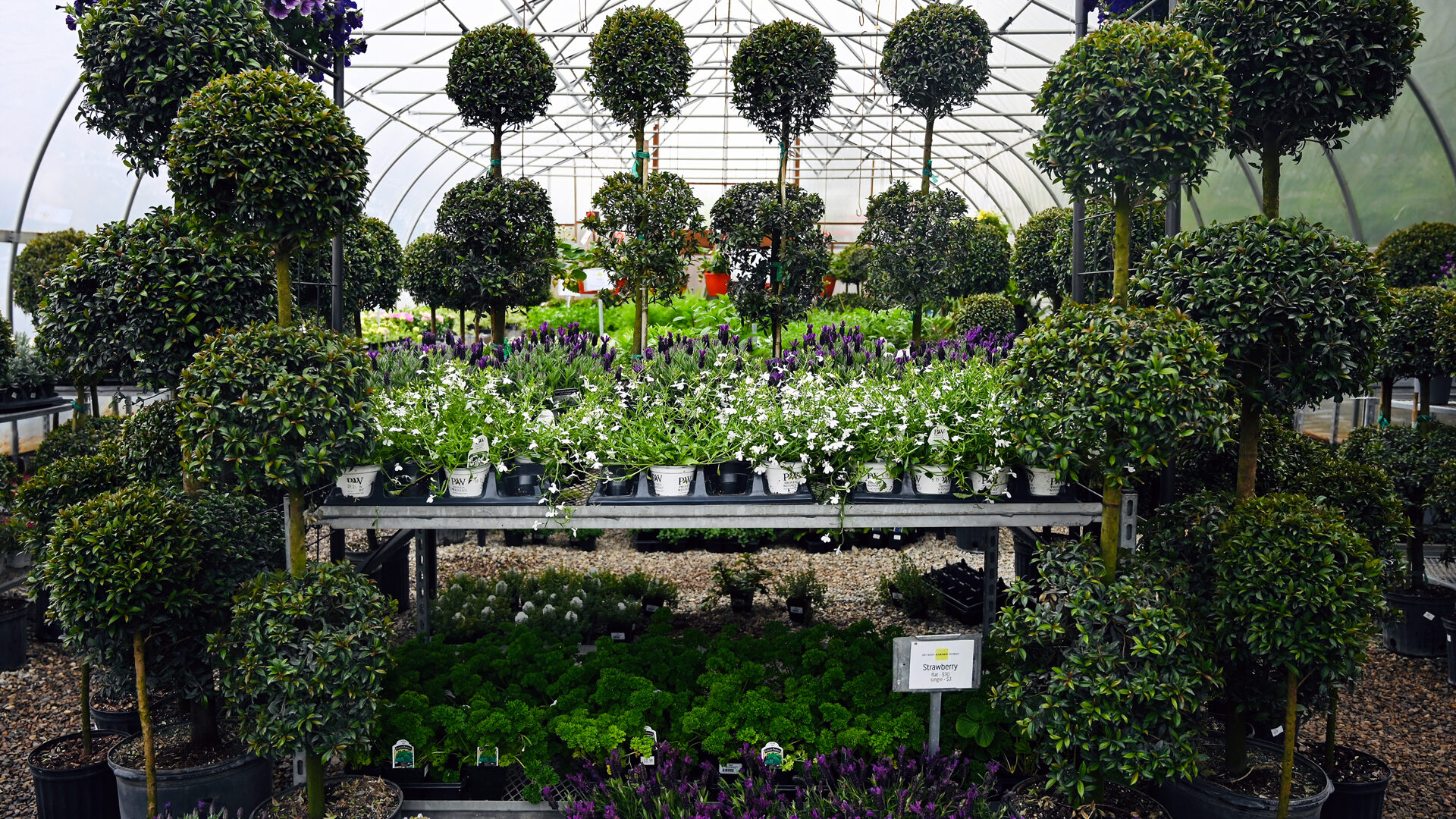 Detroit Garden Works