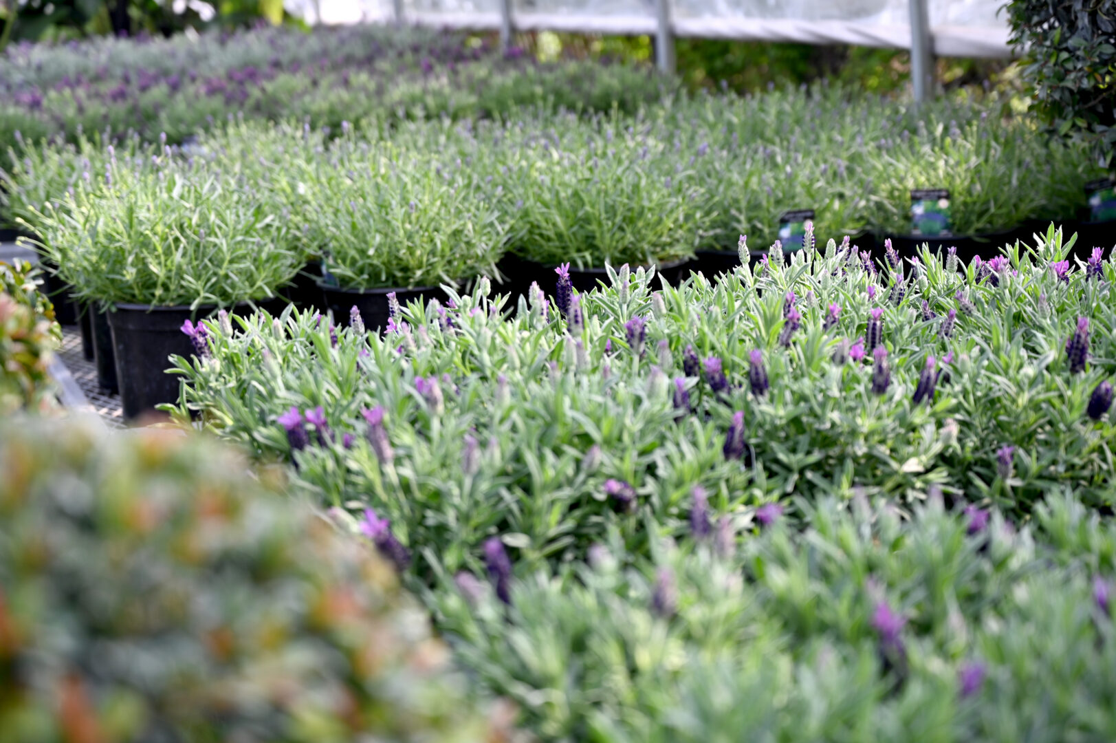 Detroit Garden Works
