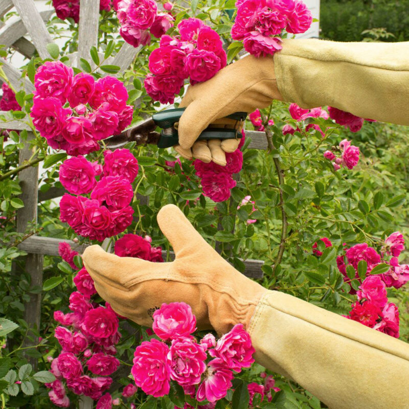 Detroit Garden Works