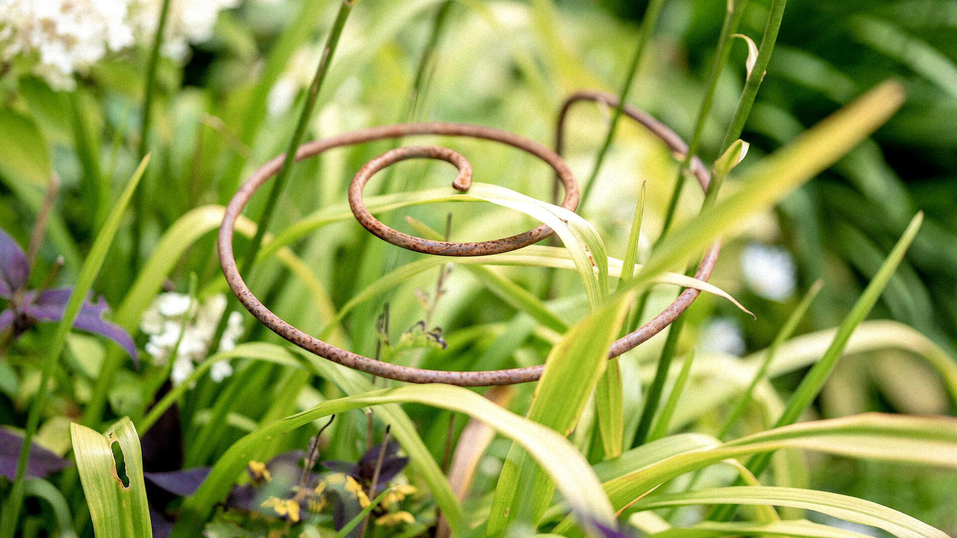 Shop: The Beauty of Form & Function | Detroit Garden Works