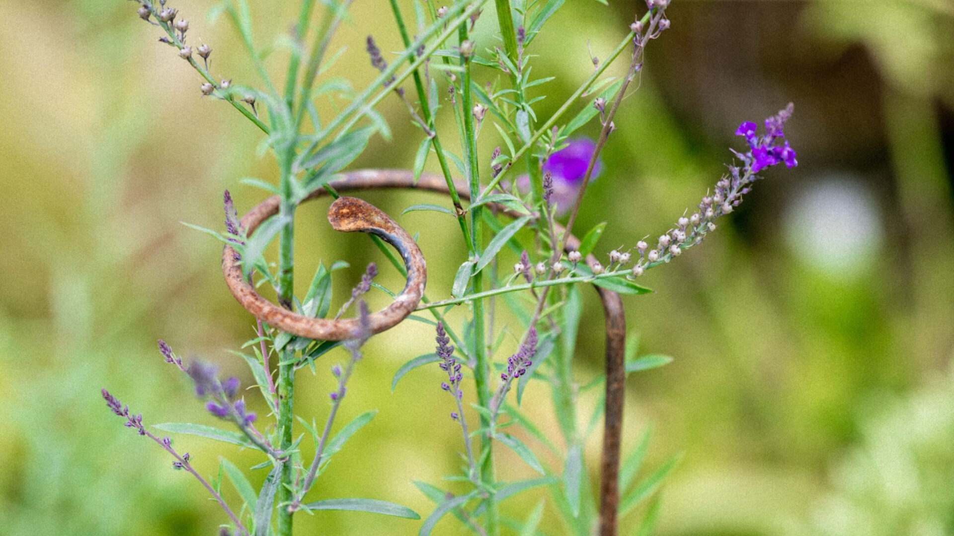 Shop: The Beauty of Form & Function | Detroit Garden Works
