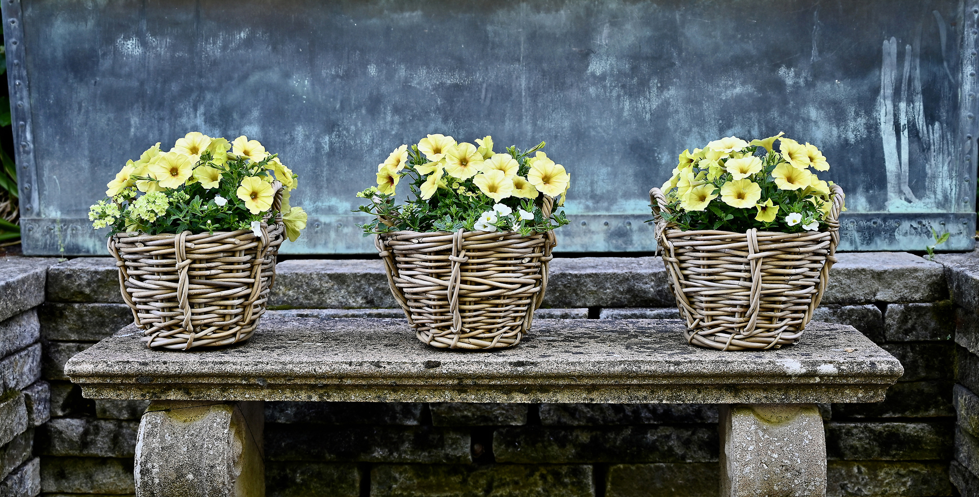 Grey Rattan Baskets with Petunia and Verbena - Detroit Garden Works