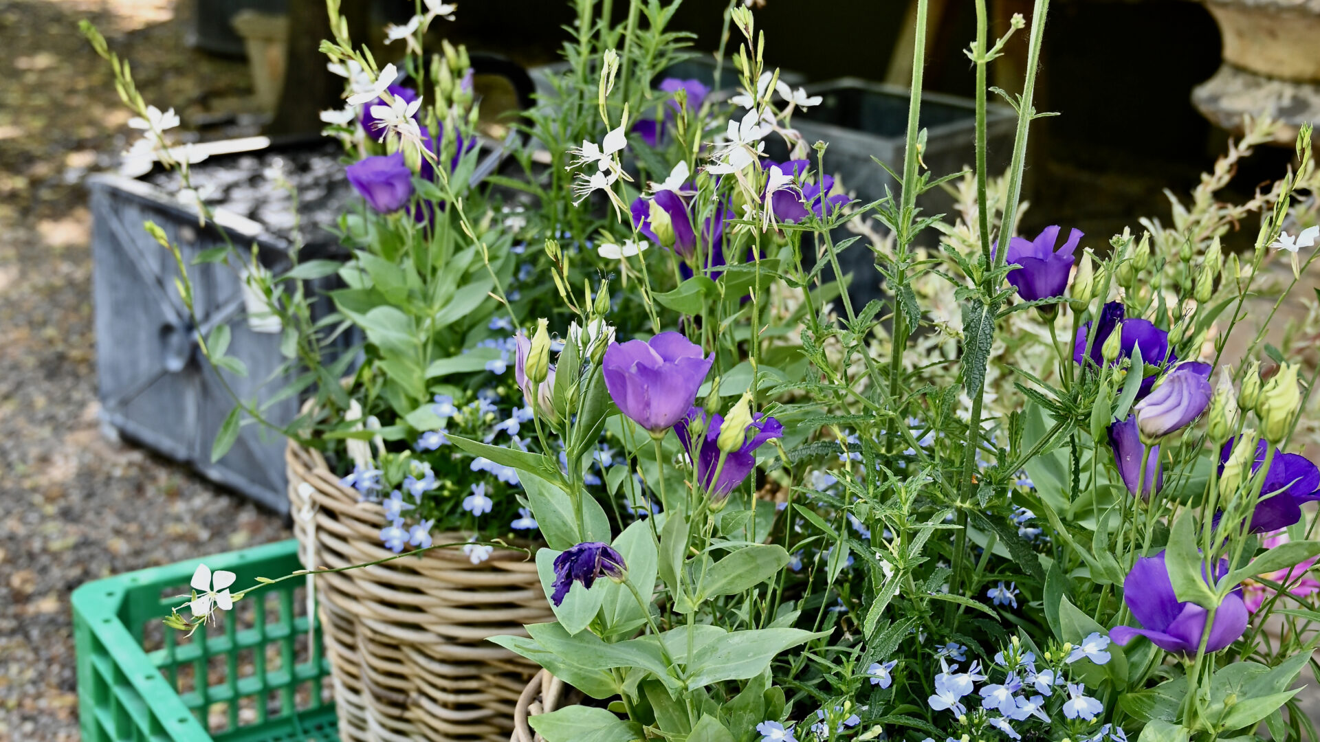 How to Buy - Detroit Garden Works