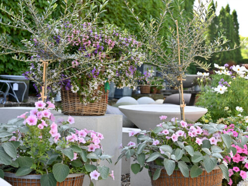 Detroit Garden Works