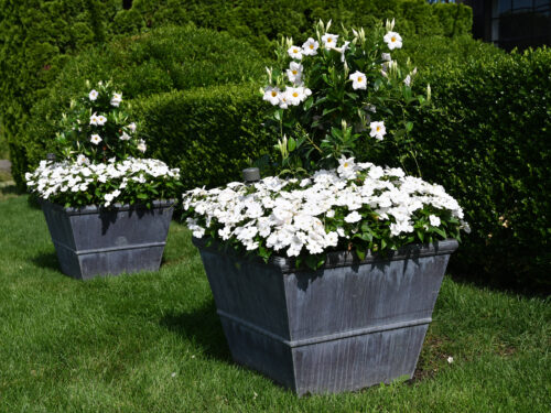Detroit Garden Works