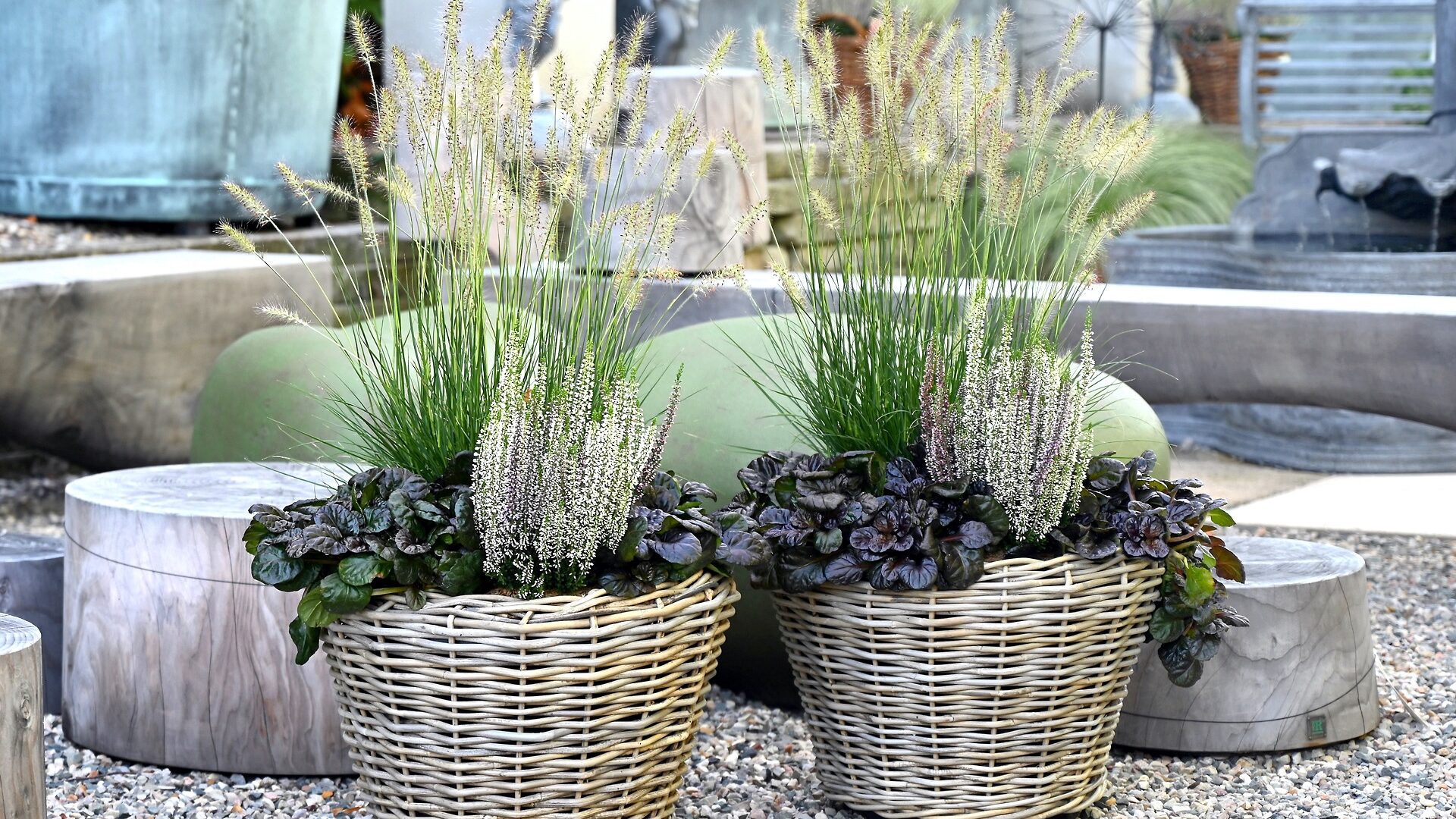 Hameln Fountain Grass, Calluna Vulgaris, and Ajuga in a Wicker Lined Basket - Detroit Garden Works