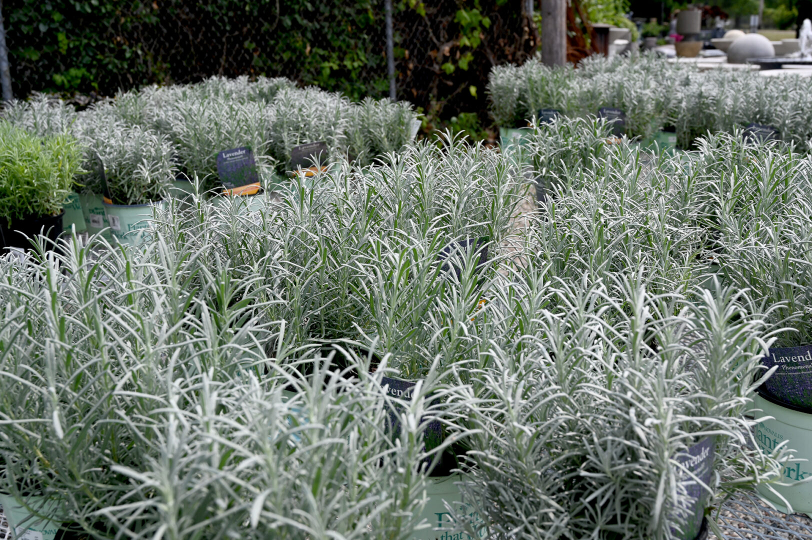 Detroit Garden Works