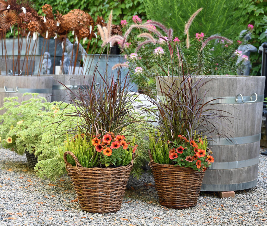 Shop: Containers | Detroit Garden Works