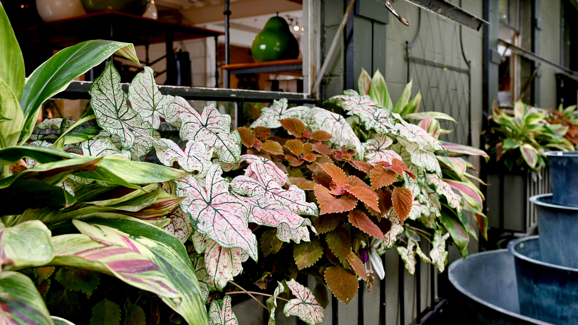 Detroit Garden Works