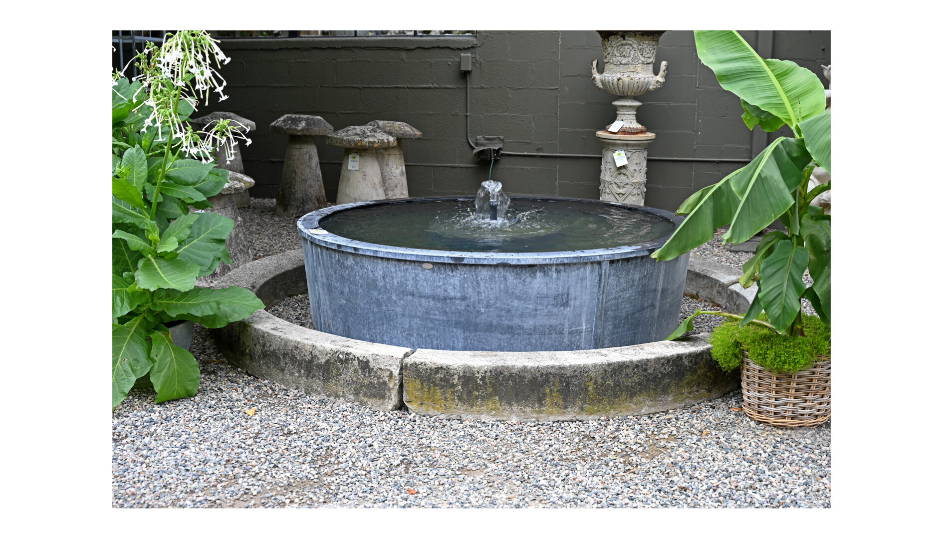 Fountain Surround