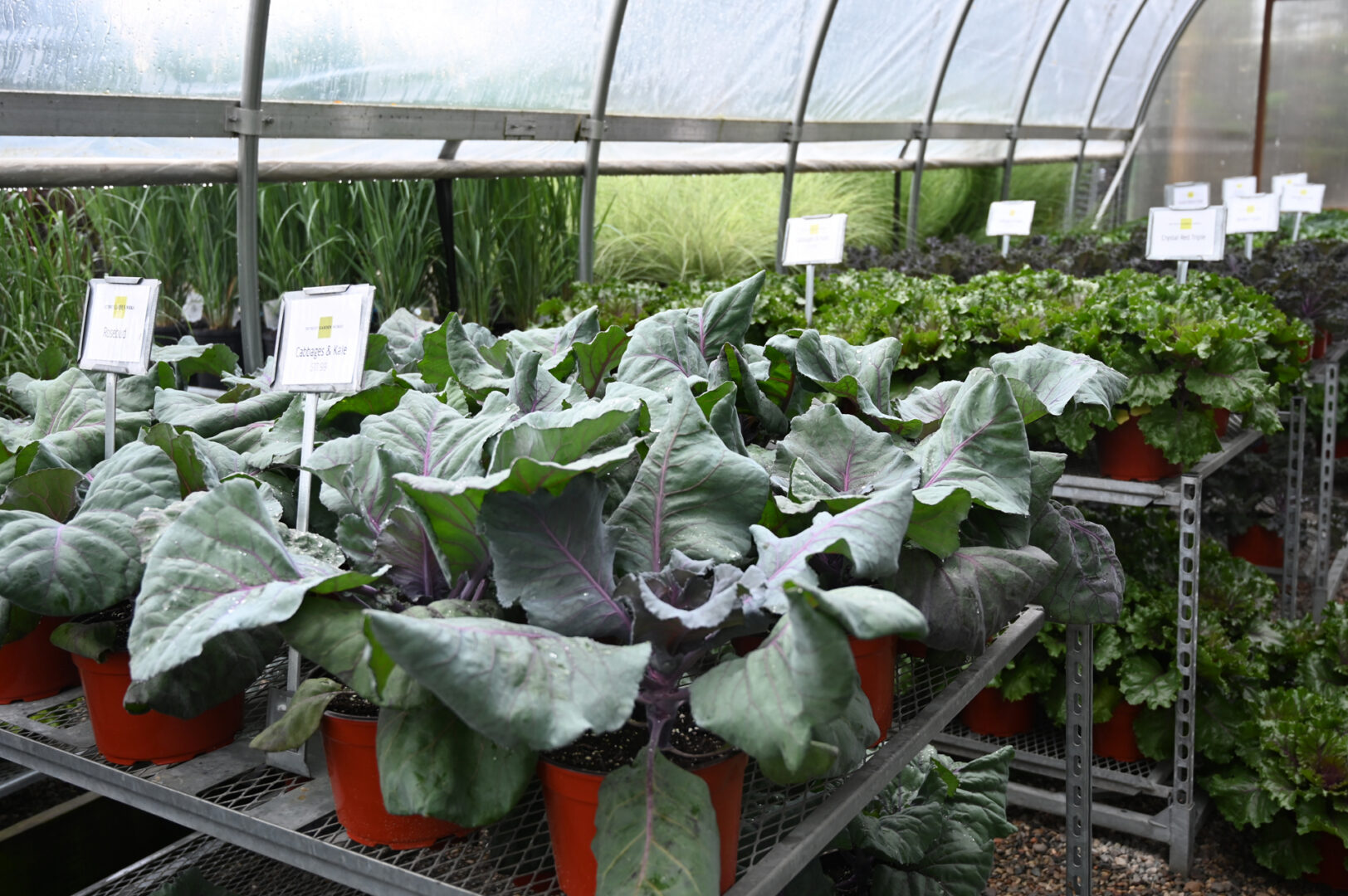 Detroit Garden Works