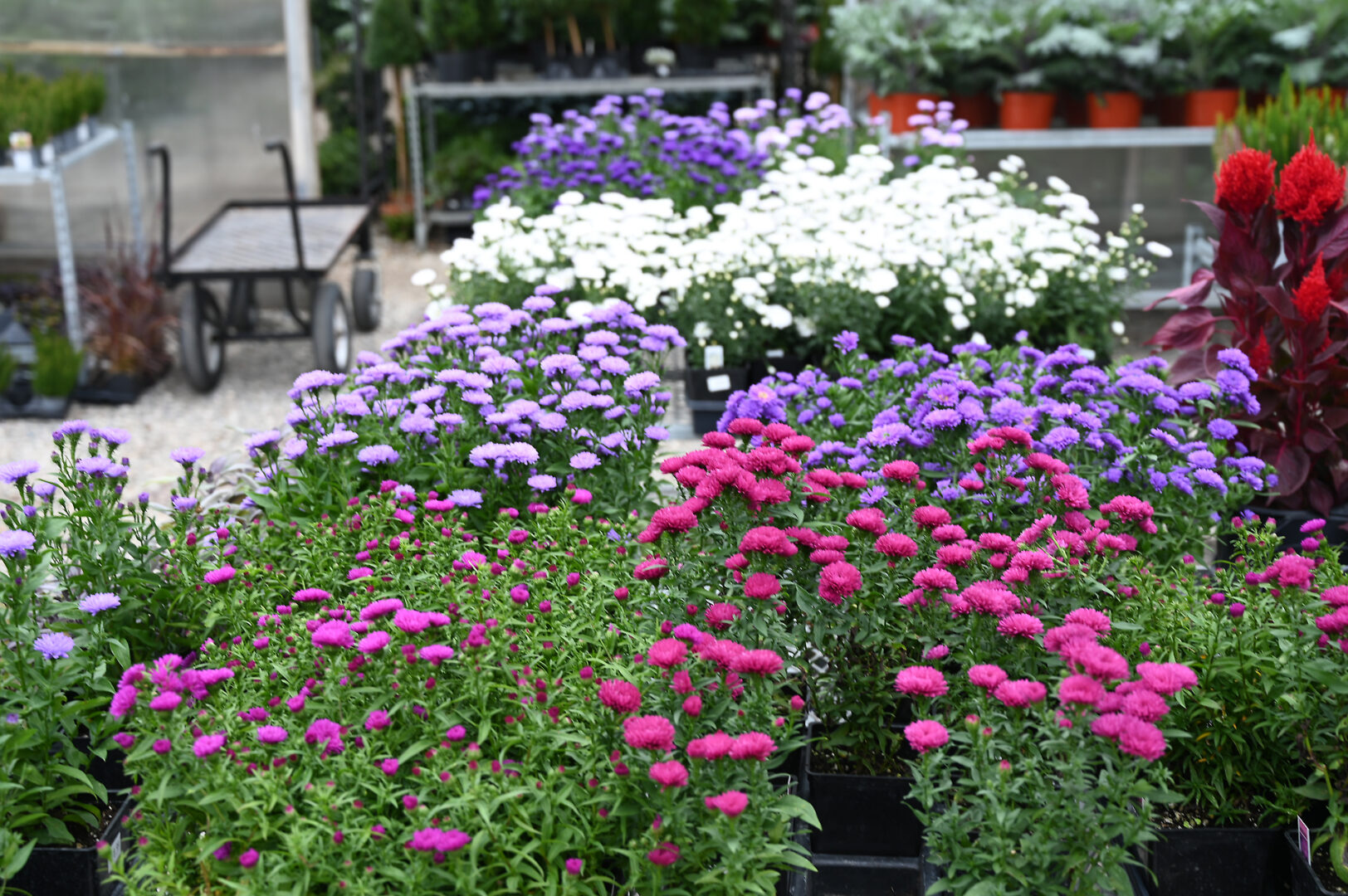 Detroit Garden Works
