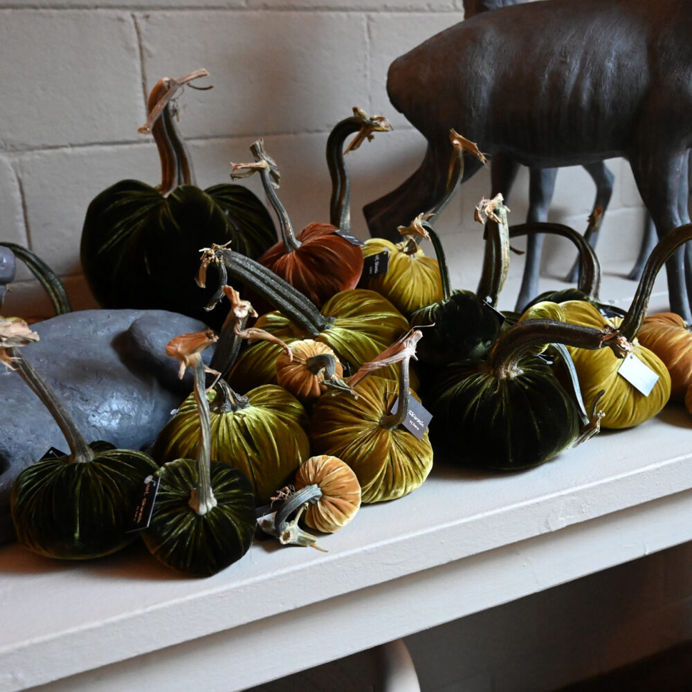 Velvet Pumpkins