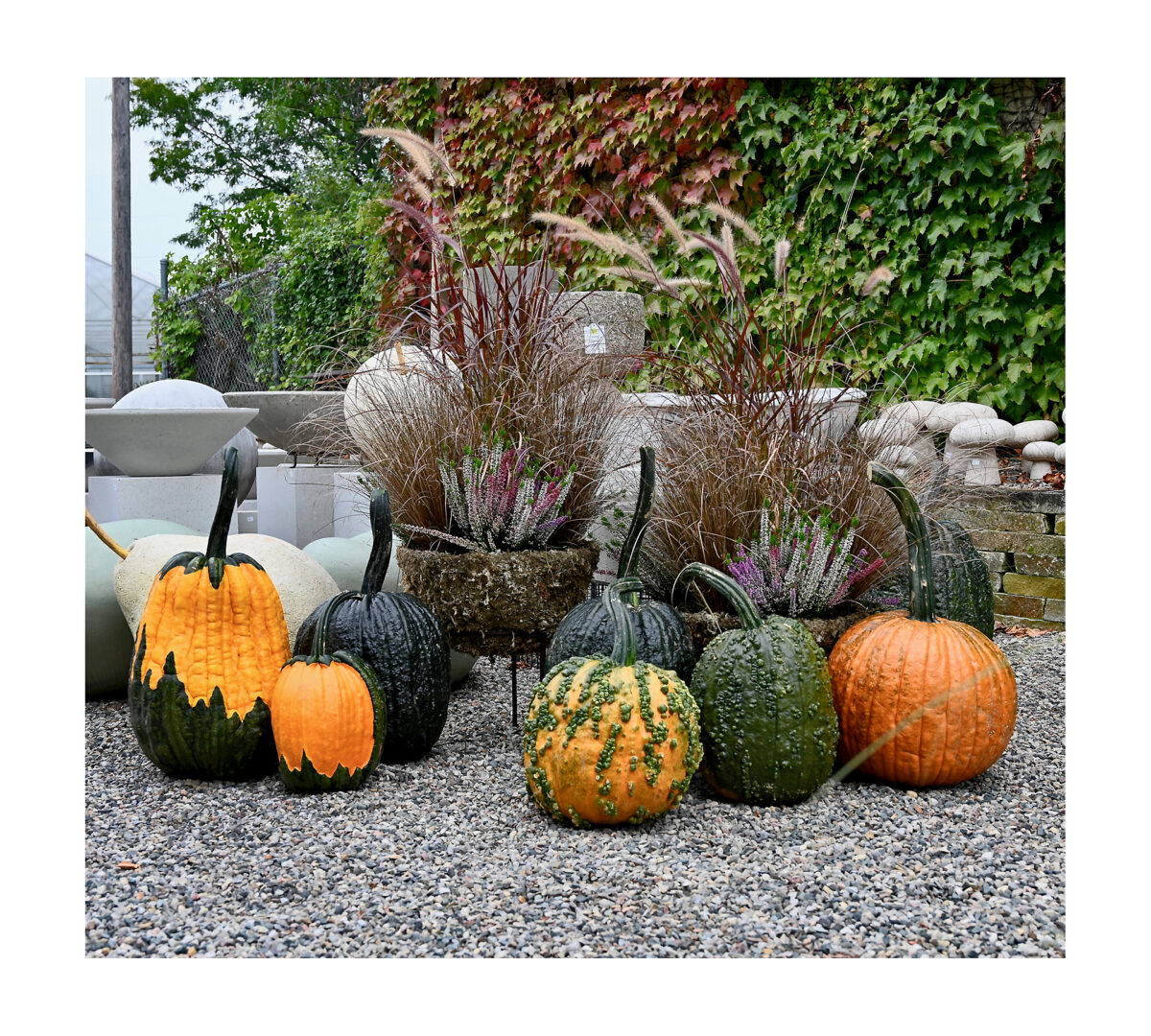 Planted Seasonal Pots