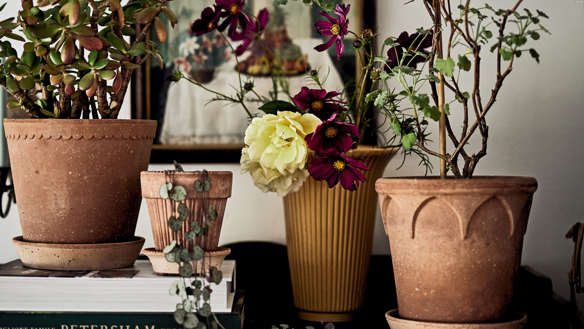 Bergs Potter Raw Rosa Pots - Helena, Simona & Elizabeth - Detroit Garden Works