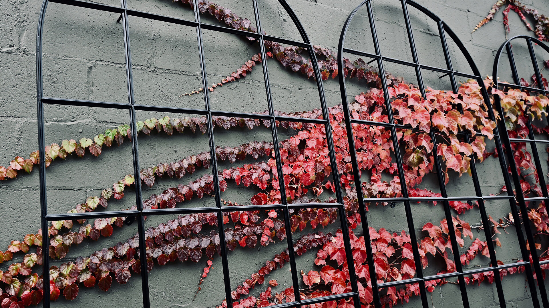 Shop: The Beauty of Form & Function | Detroit Garden Works
